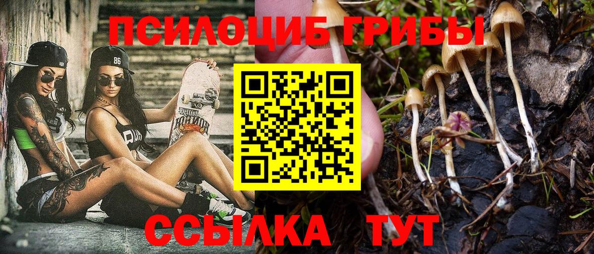 Псилоцибиновые грибы Psilocybe Наро-Фоминск